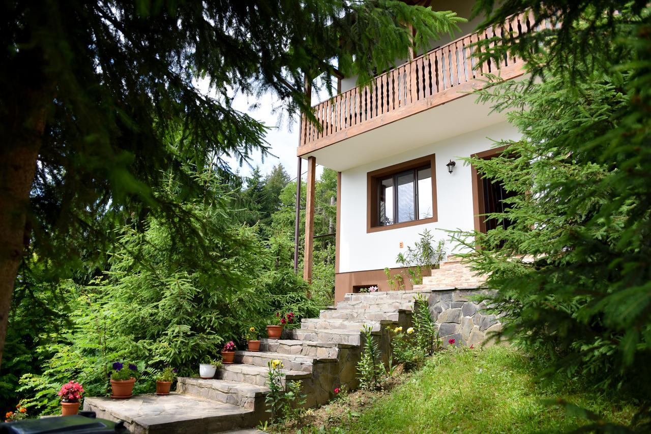 فندق Casa Edy Colibiţa المظهر الخارجي الصورة