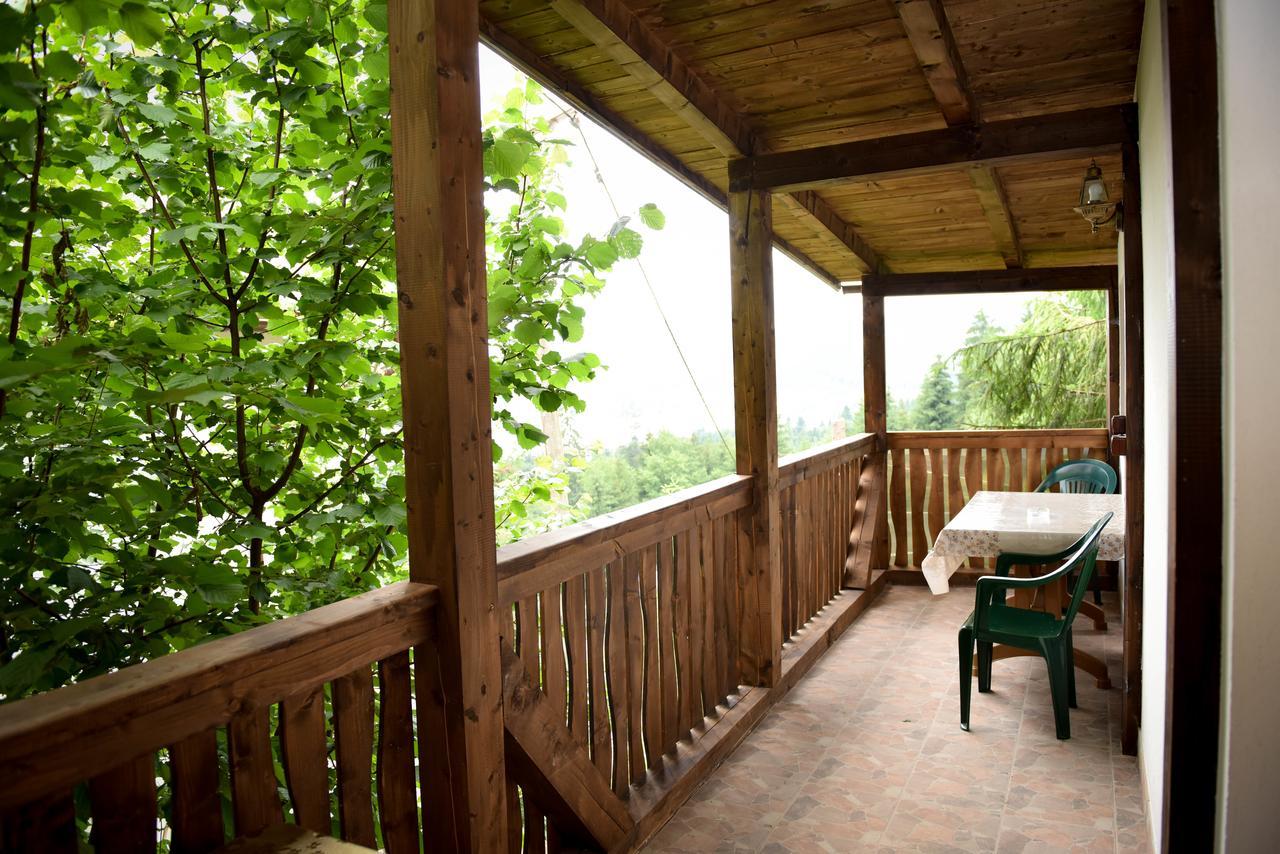 فندق Casa Edy Colibiţa المظهر الخارجي الصورة